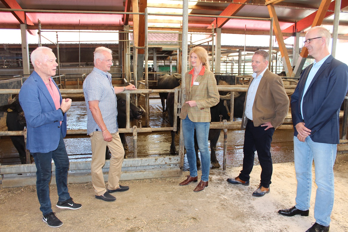 Landkreis und Wirtschaftsförderung Dahme-Spreewald besuchten am 25.06.2020 die Büffelfarm Mittenwalde GmbH.